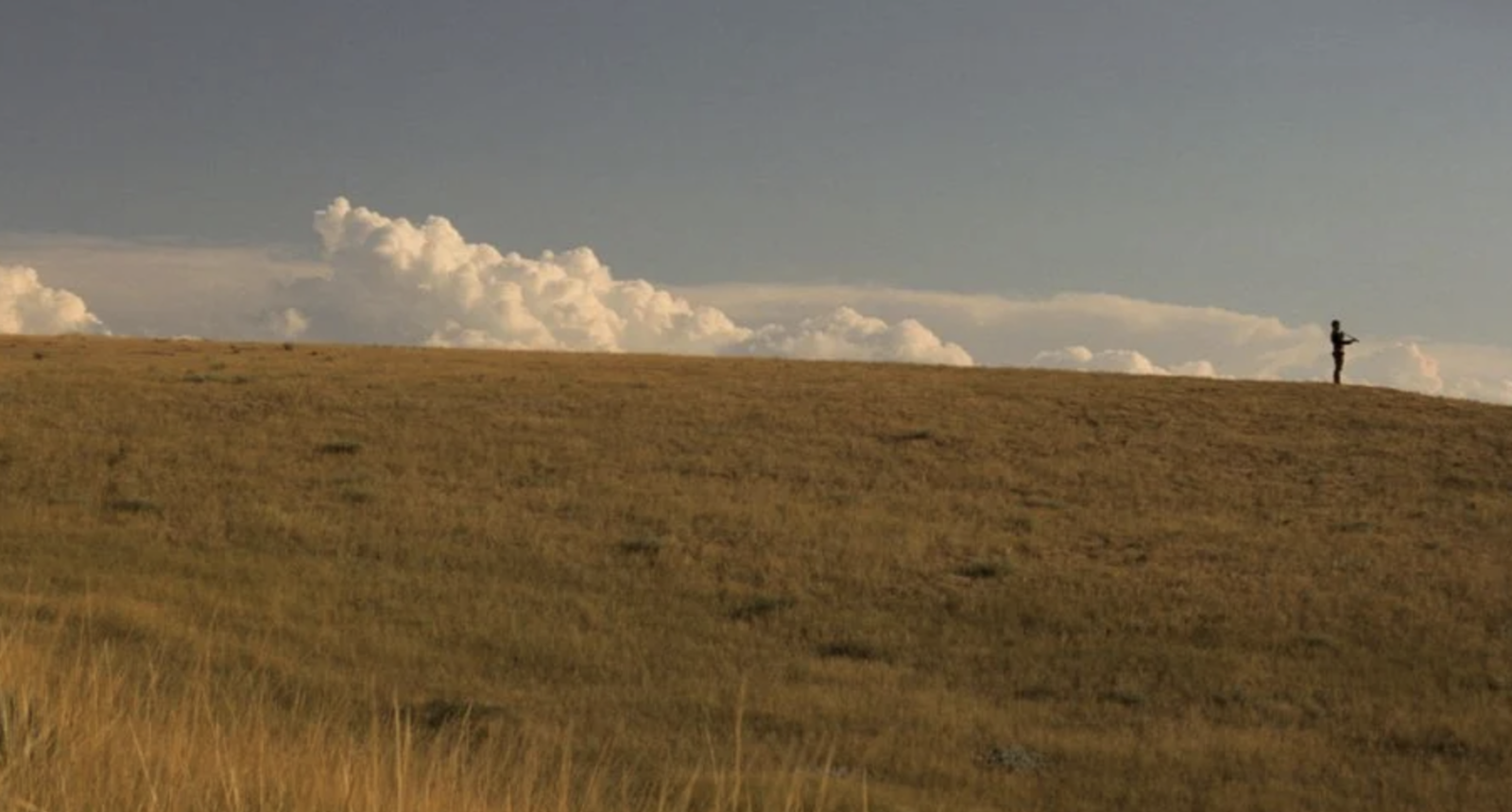 Dances with Wolves